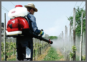 solo_mister_sprayer